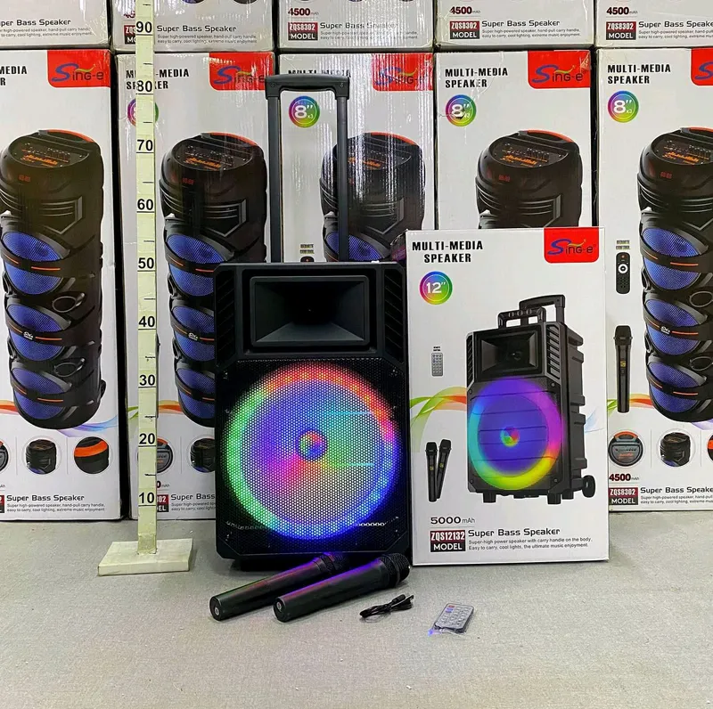 #Kalonka Subwoofer Sing-e ZQS12132