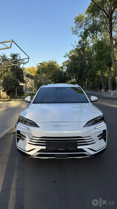 BYD Champion DM-i 2 BYD Champion DM-i 2