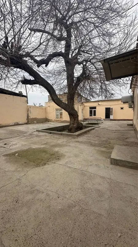 Arkning yon tomonida hovli sotiladi 4.5 sotix gastinitsa uchun zur joy — фото 3