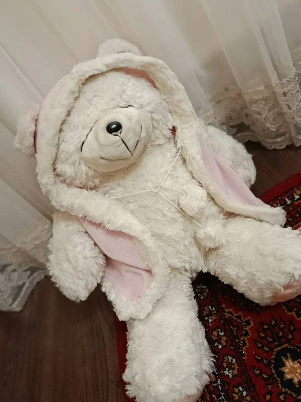 Yaponski oq teddy 3 Yaponski oq teddy 3