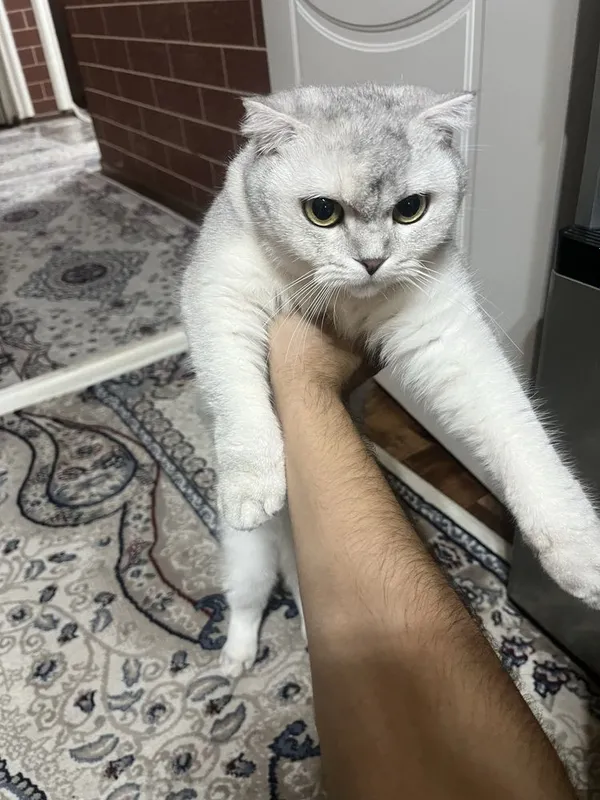 Vyaskaga kuyo kere 2