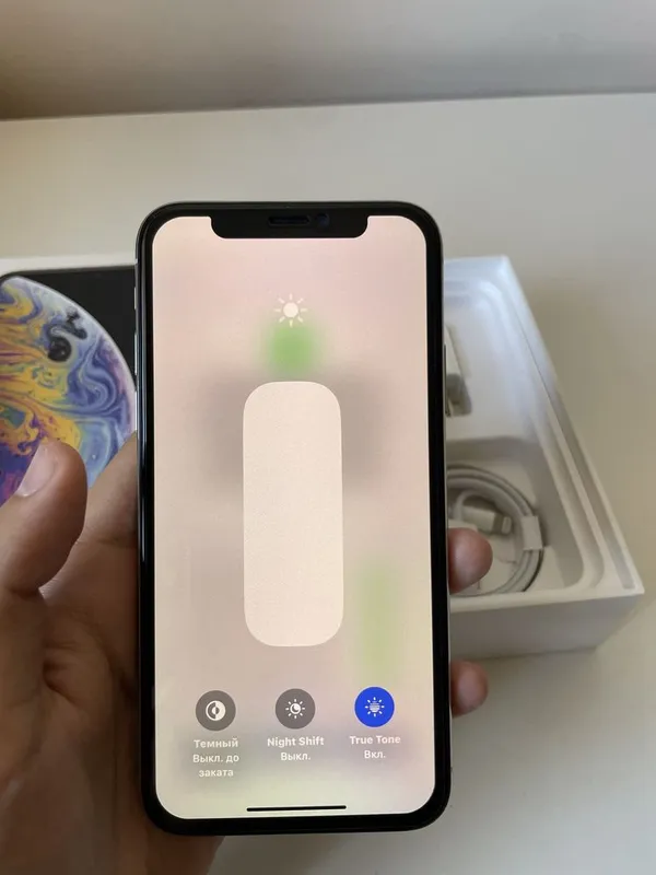 iPhone XS 256GB Silver — фото 6