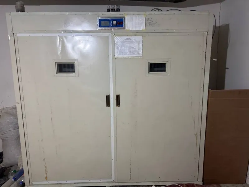 Inkubator sotiladi 3