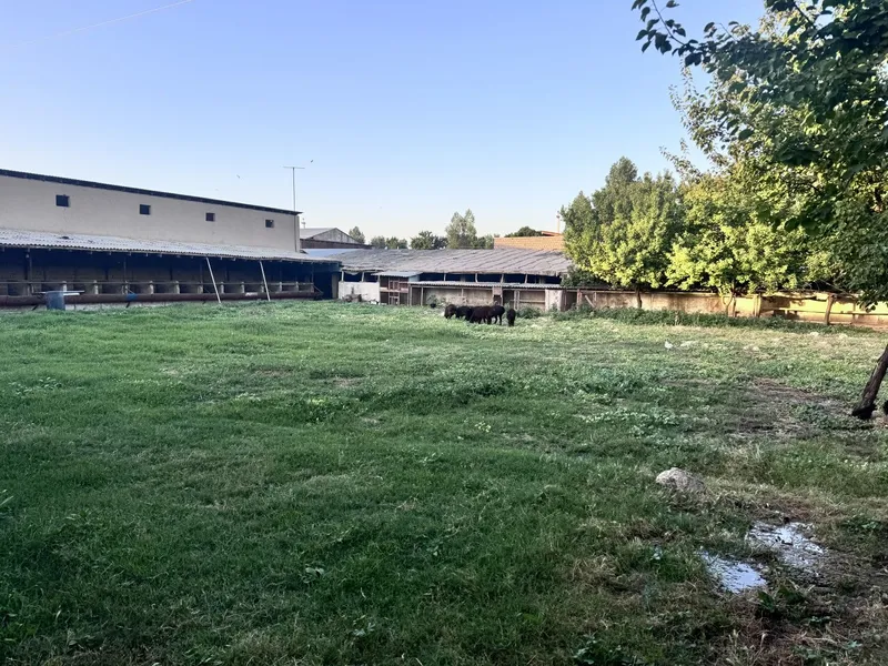 10 700 y.e sotigi narxini kelishamiz kami bor