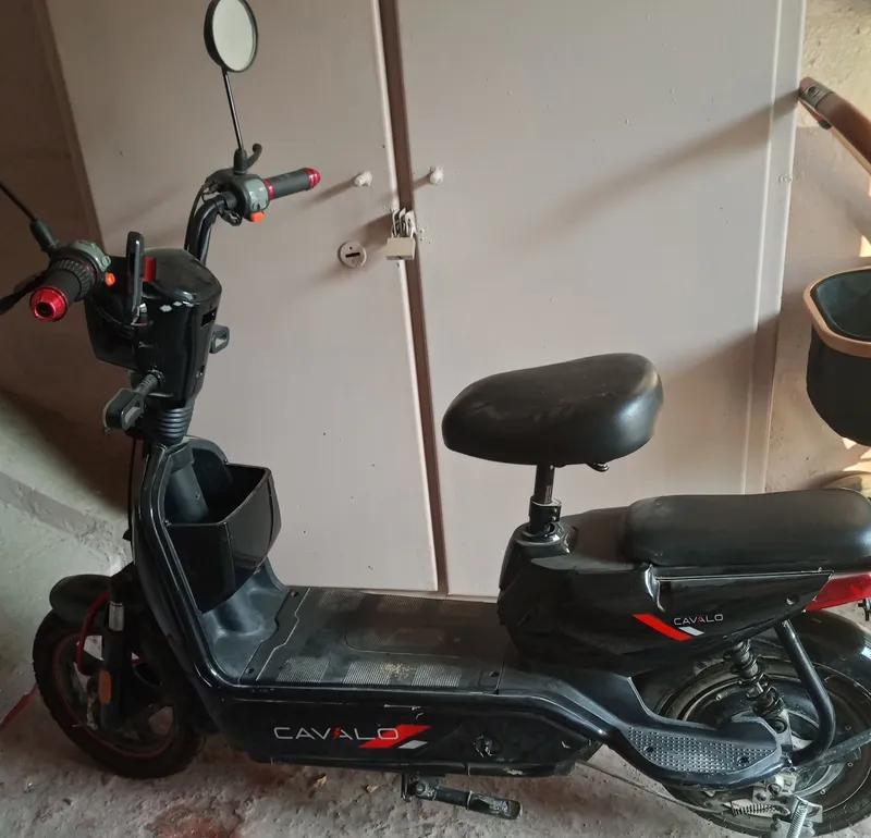 sukutr sotiladi narhi 100$ 2 sukutr sotiladi narhi 100$ 2