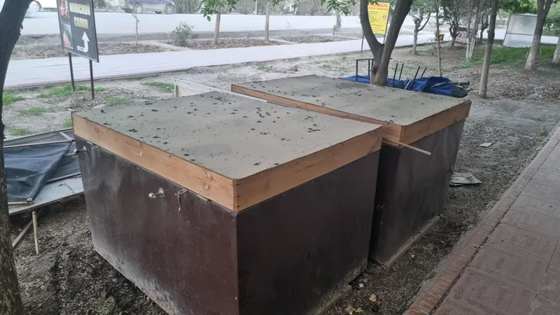 Bozorchiloni chamodoni sotilodi