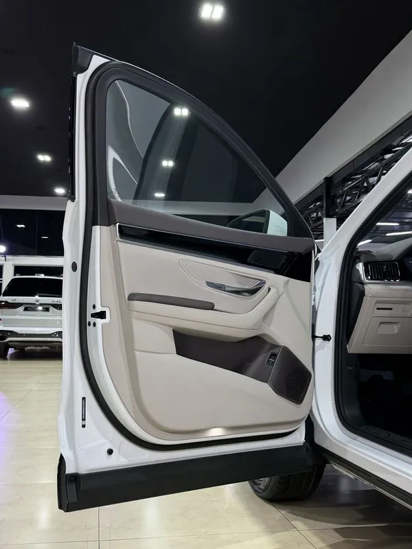 BYD Champion Smart Drive 2026 — фото 3