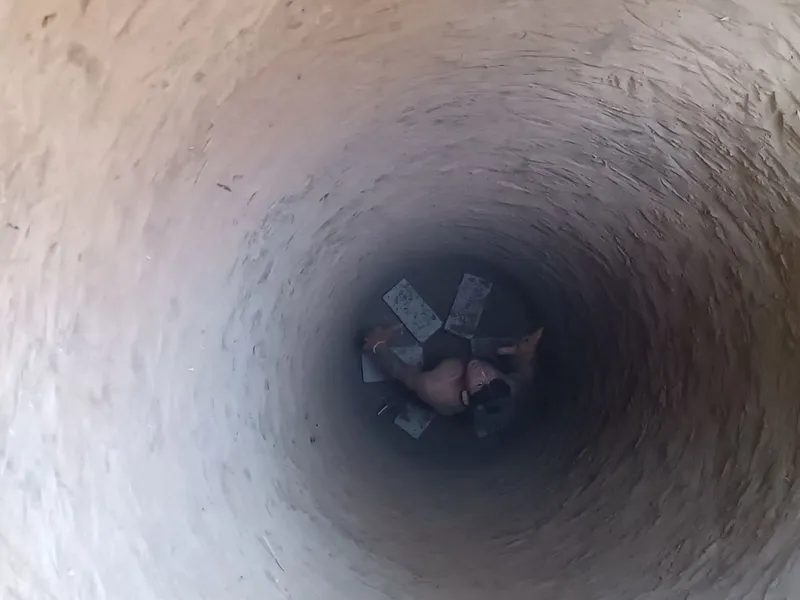 Oʻrachi Urachi transheya padval tunel yomkiz hizmatlari arzon narxd Oʻrachi Urachi transheya padval tunel yomkiz hizmatlari arzon narxd