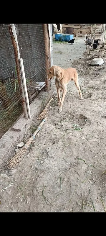 Bekorchilar bezovta qilmasin 1 Bekorchilar bezovta qilmasin 1