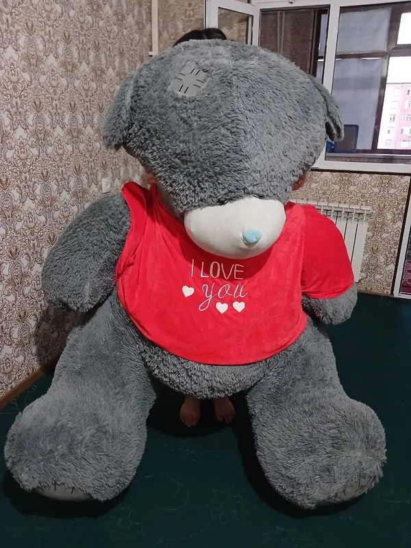 Teddy ayiq