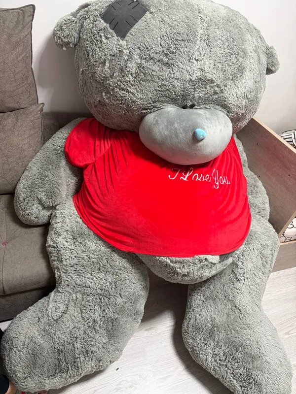 Teddy 2