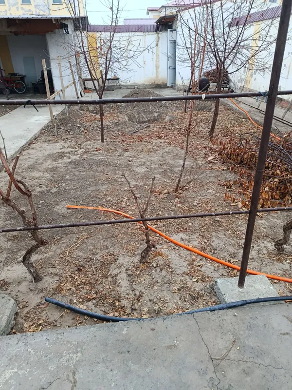 Котедж сотилади, эски шовот йул Чоткупирда — фото 3