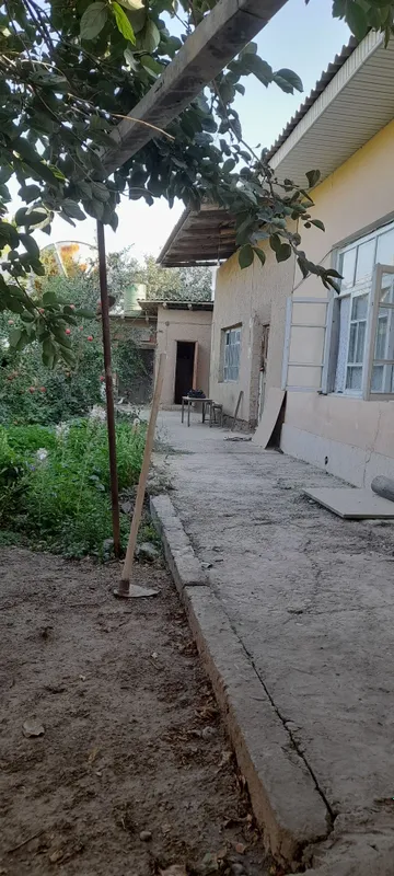 Ховли санатория бустон — фото 5