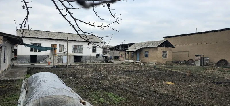 Yer sotiladi 17 sotik uyjoyiham bor 10 honasi bor 4 Yer sotiladi 17 sotik uyjoyiham bor 10 honasi bor 4