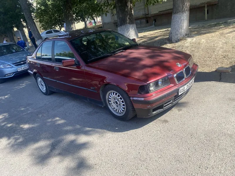 BMW 316 Zor mowina