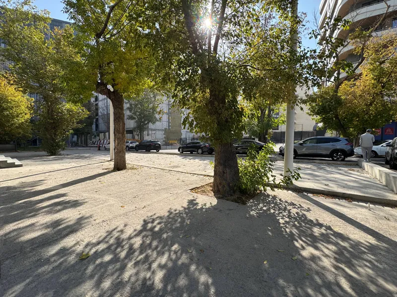 Yashnobodda 125 m² studiya ijarasi · ID 297 6