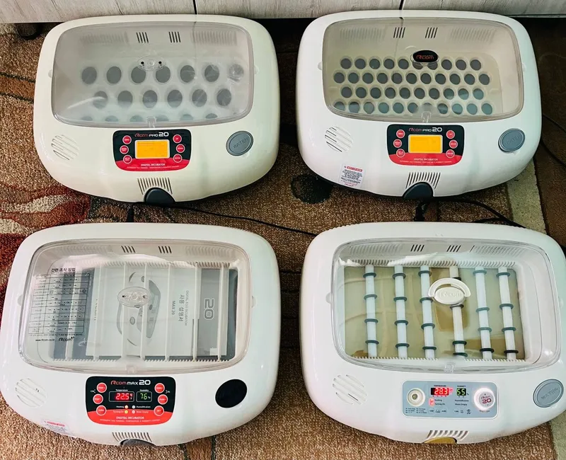 Incubator original 1