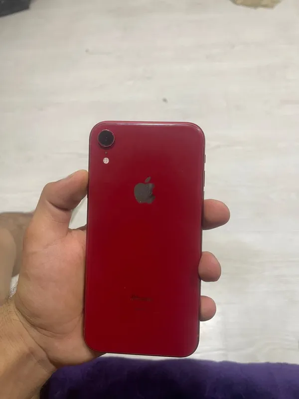 Xr