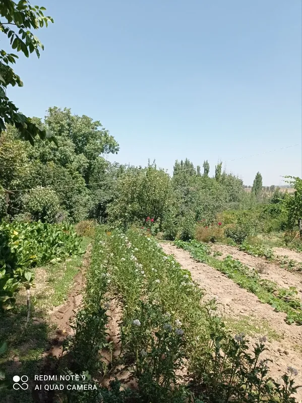 Бустонлик туманида ховли Уй сотилади.5та хона ,Икки этажли коттедж — фото 1