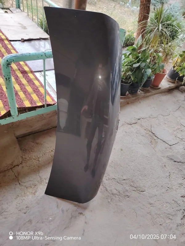 Kobilt bagaj miyatina si bor radnoy