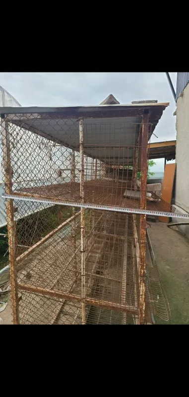 Товук катаклари сотилади нари 2500 дан 4 Товук катаклари сотилади нари 2500 дан 4