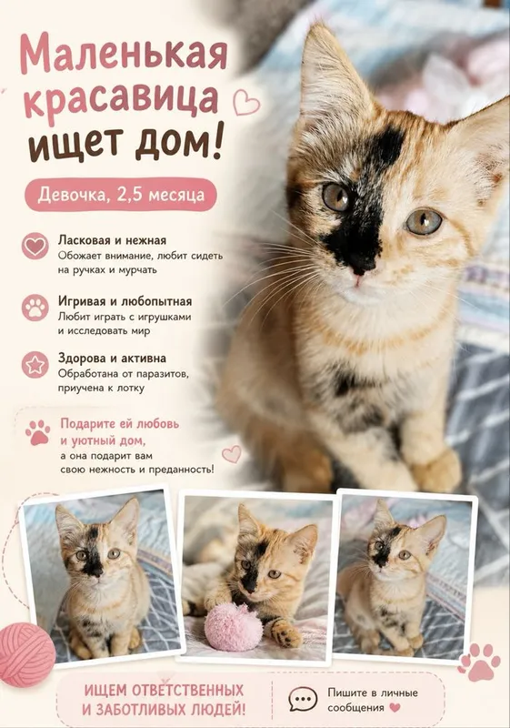 Необычная малышка 2,5 месяца ищет любящий дом
