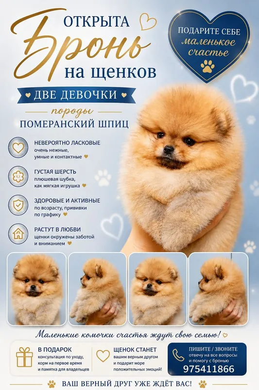 shoshiling, kuchukchani bron qiling