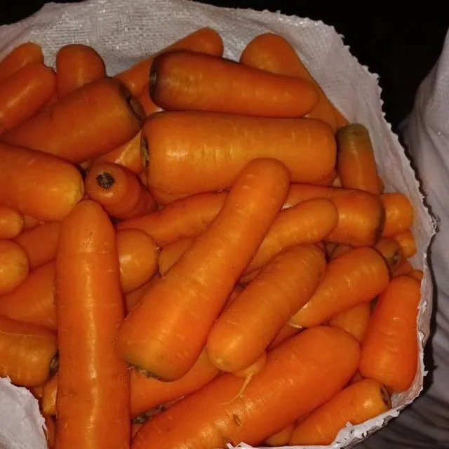 Sabzi uruģi sotiladi 6