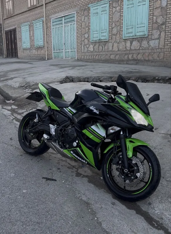 Kawasaki arginal 1