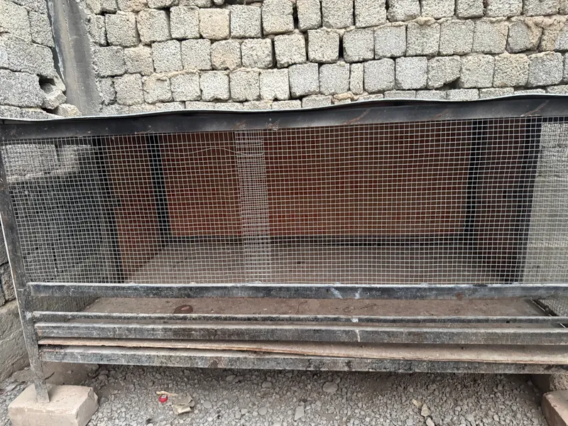 Tovuqlar uchun in sotiladi 2 Tovuqlar uchun in sotiladi 2