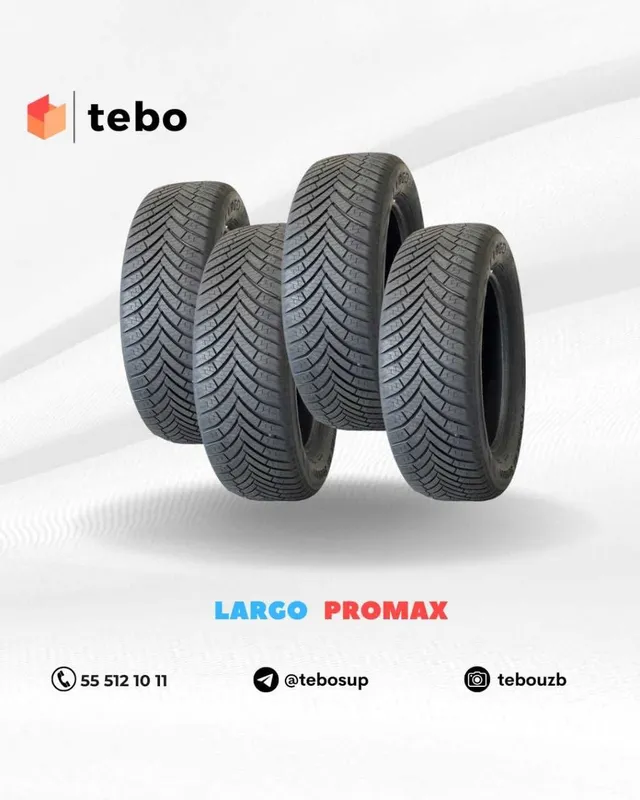 Shina Largo Promax archa balonlarni muddatli to'lovga xarid qiling
