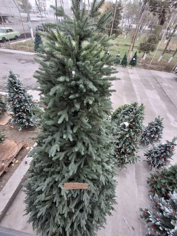 Янги йил арчаси — фото 2