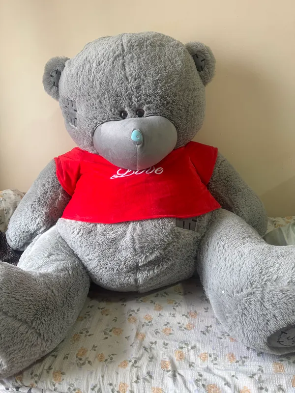 Teddiy ayiq rasmda koringandan ancca katta