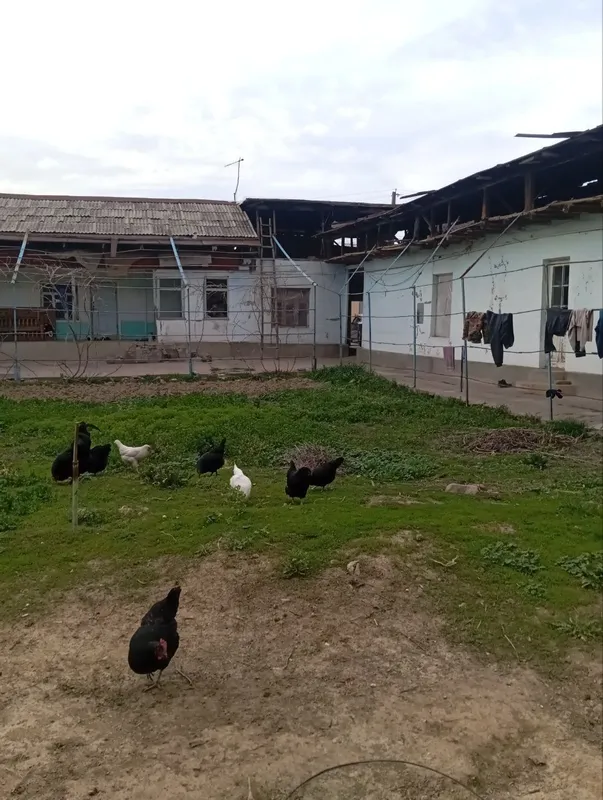 Продажа участка 4