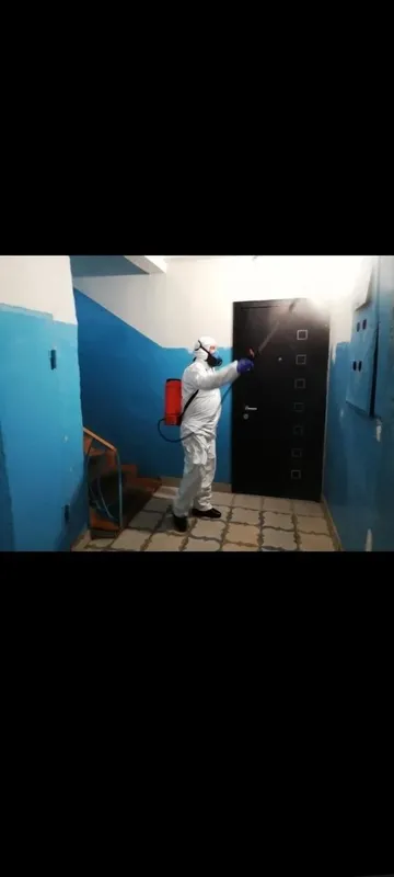 Дезинфекция дезинфекция обработка дом