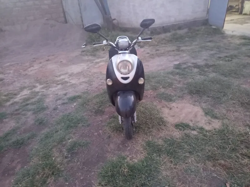 80 kb sukuter sotiladi 5 80 kb sukuter sotiladi 5