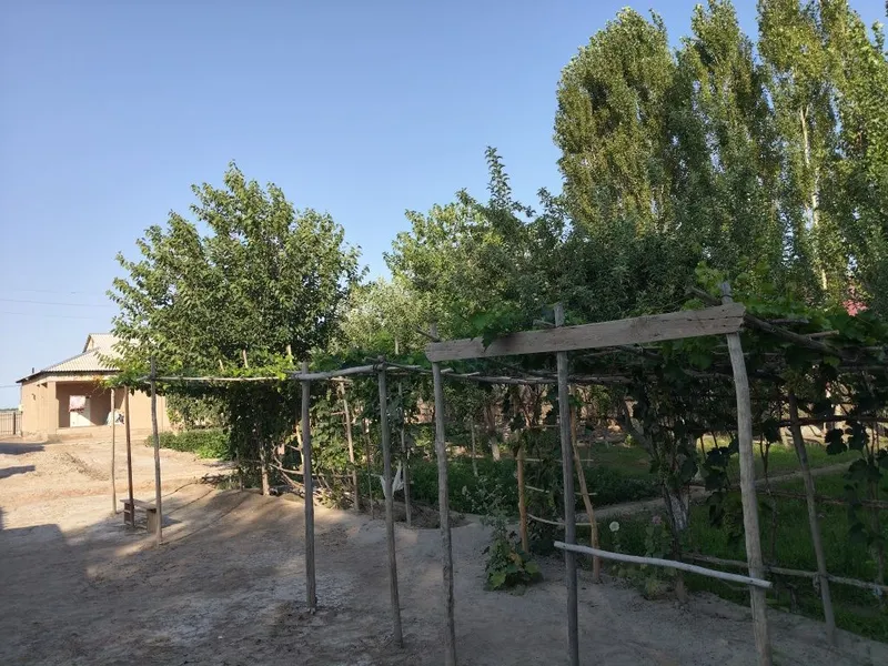 Уй сатылады Конырат районы Адай ауыл Уй сатылады Конырат районы Адай ауыл