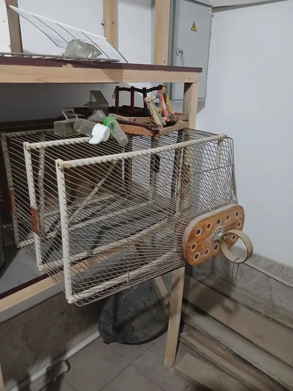 Kanareyka va to'tiqushlar uchun 2 ta qafas sotiladi / Продам 2 клетки 6 Kanareyka va to'tiqushlar uchun 2 ta qafas sotiladi / Продам 2 клетки 6