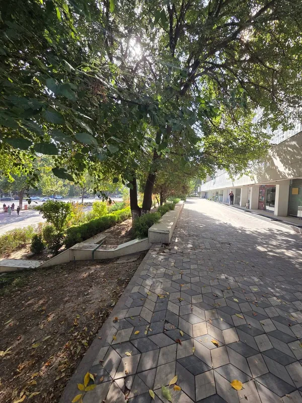 Mirzo Ulug‘bek tumanida 60 m² bino ijarasi · ID 218 2