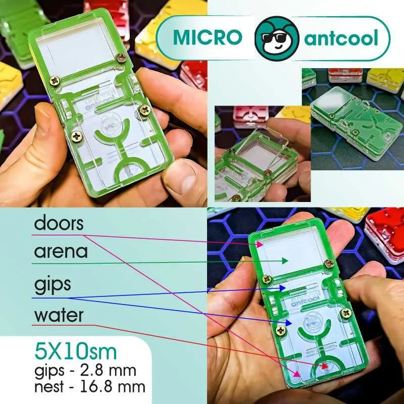 MICRO Формикарий, муравьиная ферма. Formikarium, chumolilar fermasi