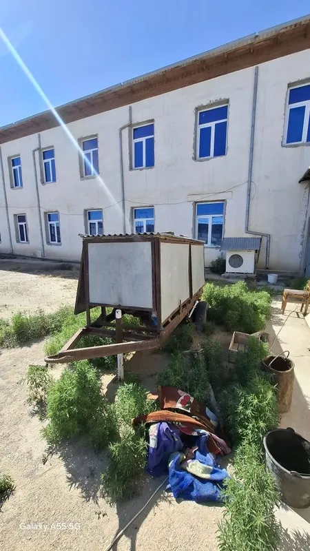 Двежок 15 кв сотилади соз холатда — фото 4