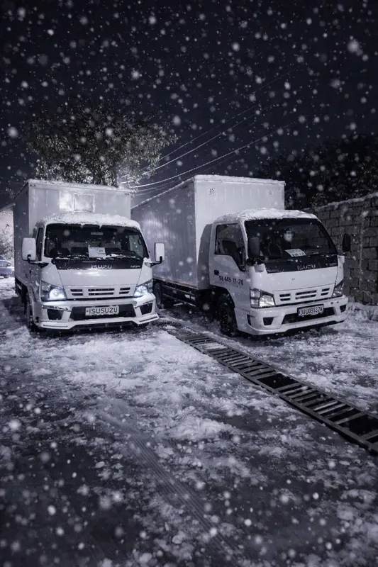 Isuzu yuk tashish hizmati
