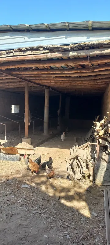 Хатирчи центрда ховли участка — фото 3