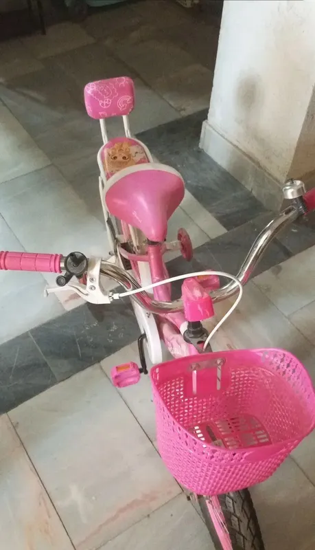 velosiped bor yo‘g‘i bir marta haydalgan — фото 8