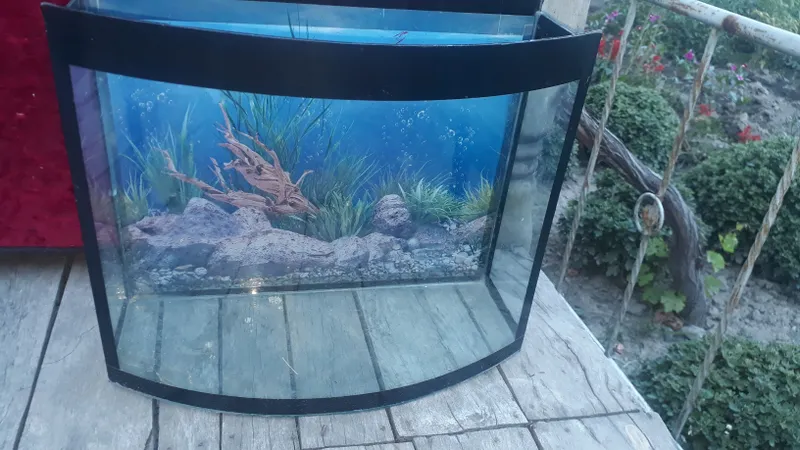 Akvarium  boyi 55sm  eni  20 sm balandligi 40sm