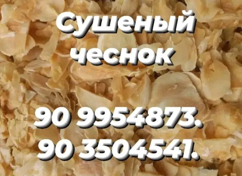 Сушёный лук и чеснок премиум класса — фото 5 Сушёный лук и чеснок премиум класса — фото 5