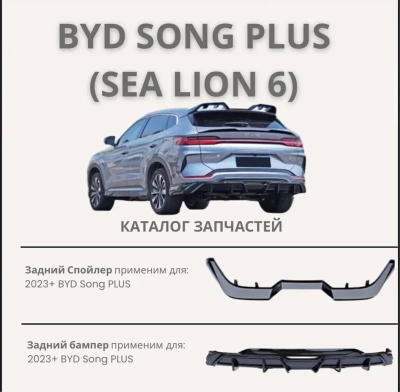 BYD chempion body kid — фото 1