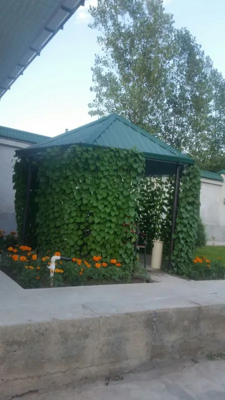 Дача на лето в аренду — фото 6