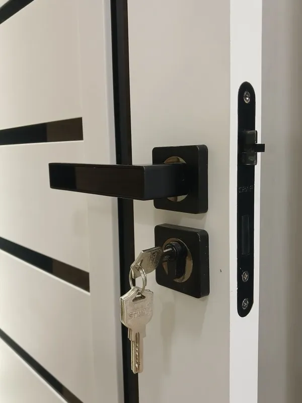 Ichki MDF eshiklar Rossiyada ishlqb chiqarilgan — фото 2