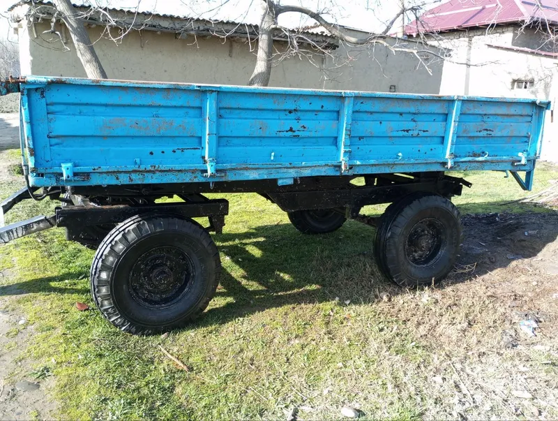 Telechka srochno 3 Telechka srochno 3